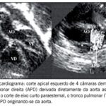Imagem 1 da galeria