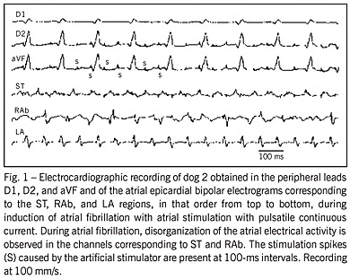 Effects of stimulation with pulsatile continuous electrical current on atrial electrophysiological properties: experimental study of atrial fibrillation in dogs
