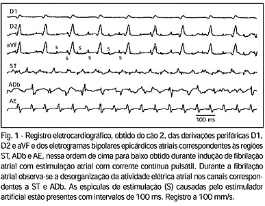 Efeitos da estimulação com corrente elétrica contínua pulsátil sobre as propriedades eletrofisiológicas atriais: estudo experimental da fibrilação atrial em cães