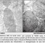 Imagem 5 da galeria