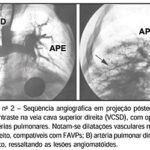 Imagem 2 da galeria
