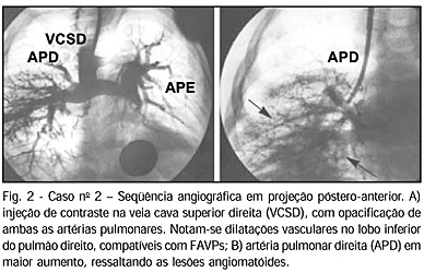 Imagem 2 da galeria