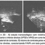 Imagem 3 da galeria