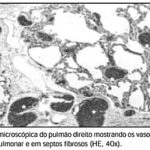 Imagem 5 da galeria