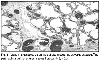 Imagem 5 da galeria