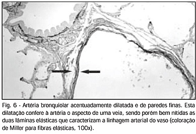 Imagem 6 da galeria
