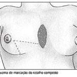 Imagem 1 da galeria