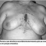 Imagem 3 da galeria