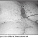 Imagem 4 da galeria