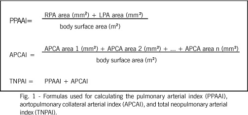 Assessment of the pulmonary vascular blood supply in patients with pulmonary atresia, ventricular septal defect, and aortopulmonary collateral arteries