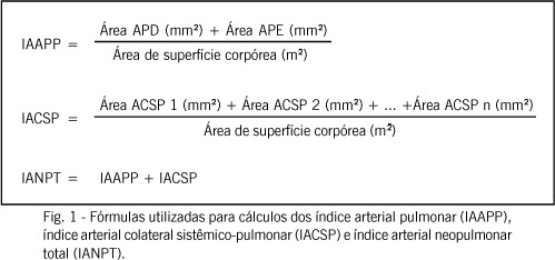 Avaliação do suprimento sangüíneo vascular pulmonar nos portadores de atresia pulmonar com comunicação interventricular e artérias colaterais sistêmico-pulmonares