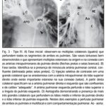 Imagem 4 da galeria