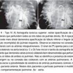 Imagem 5 da galeria