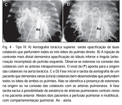 Imagem 5 da galeria