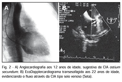Imagem 2 da galeria