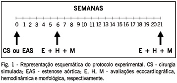 Efeitos da inibição prolongada da enzima de conversão da angiotensina sobre as características morfológicas e funcionais da hipertrofia ventricular esquerda em ratos com sobrecarga pressórica persistente