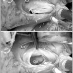 Imagem 2 da galeria