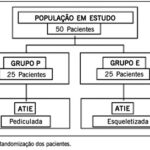 Imagem 1 da galeria