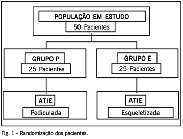 Imagem 1 da galeria