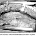 Imagem 3 da galeria