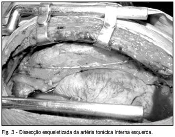 Imagem 3 da galeria