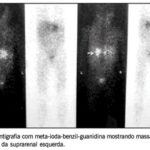 Imagem 1 da galeria