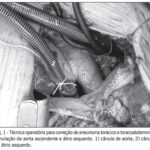 Imagem 1 da galeria