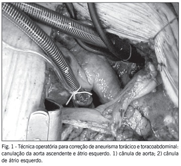 Imagem 1 da galeria