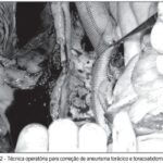 Imagem 2 da galeria