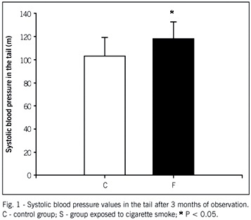 Chronic cigarette smoke exposure results in cardiac remodeling and impaired ventricular function in rats