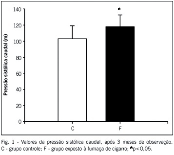 A exposição crônica à fumaça do cigarro resulta em remodelação cardíaca e prejuízo da função ventricular em ratos