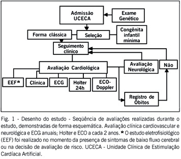 Imagem 1 da galeria