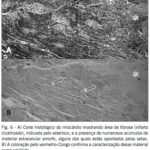 Imagem 6 da galeria