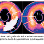 Imagem 2 da galeria
