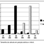 Imagem 1 da galeria