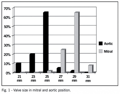 Valve replacement with the Omnicarbon valve prosthesis: a 10-year follow-up