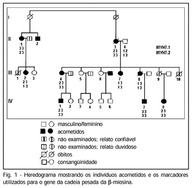 Pesquisa de marcadores para os genes da cadeia pesada da beta-miosina cardíaca e da proteína C de ligação à miosina em familiares de pacientes com cardiomiopatia hipertrófica