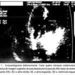 Imagem 1 da galeria