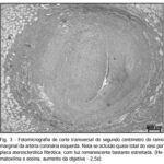 Imagem 3 da galeria