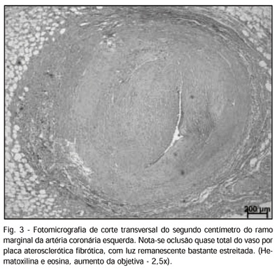 Imagem 3 da galeria