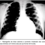 Imagem 2 da galeria