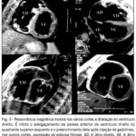 Imagem 3 da galeria