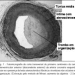 Imagem 7 da galeria