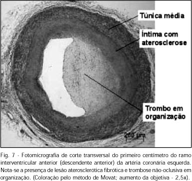 Imagem 7 da galeria