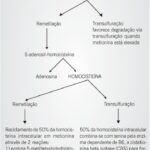 Imagem 1 da galeria