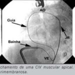 Imagem 2 da galeria