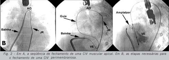 Imagem 2 da galeria