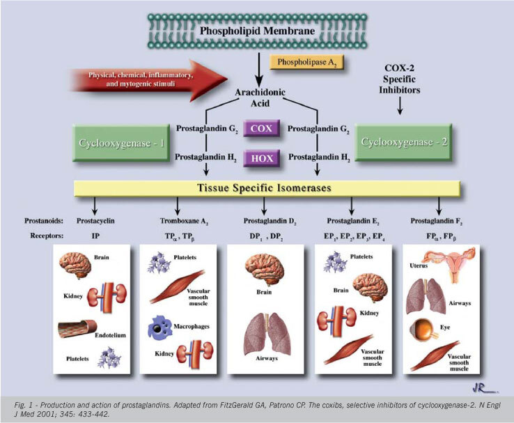 Cardiovascular events: a class effect by COX-2 inhibitors