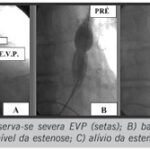 Imagem 2 da galeria