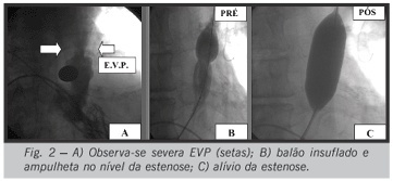 Imagem 2 da galeria